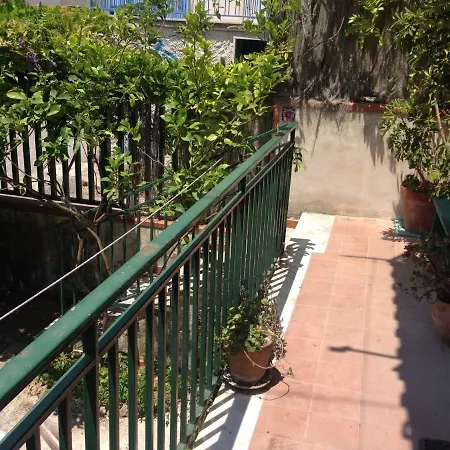 Apartment Historical Center With Garden 